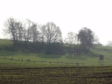 Hang mit Hochsitz in Ochtmannien-Weseloh