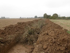 Vereinfachte Flurbereinigung Haßbergen