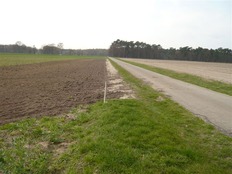 Landwirtschaftlicher Weg