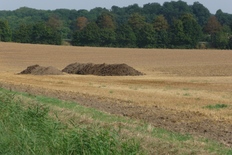 Ackerfläche in Heersum