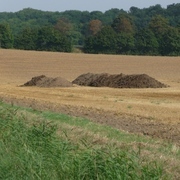 Ackerfläche in Heersum