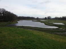 Landschaftssee Steimbke