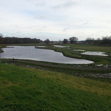 Landschaftssee Steimbke