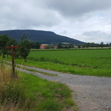 Feldmark Coppenbrügge-Marienau