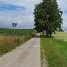 Wirtschaftsweg Coppenbrügge-Marienau