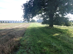 Beschleunigte Zusammenlegung Hombach