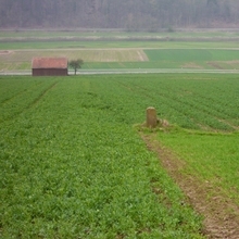 Felder an der Weser