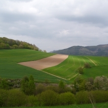 Landschaftsbild aus der "Rühler Schweiz"