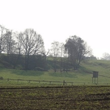 Hang mit Hochsitz in Ochtmannien-Weseloh