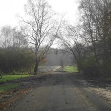 Landwirtschaftlicher Weg