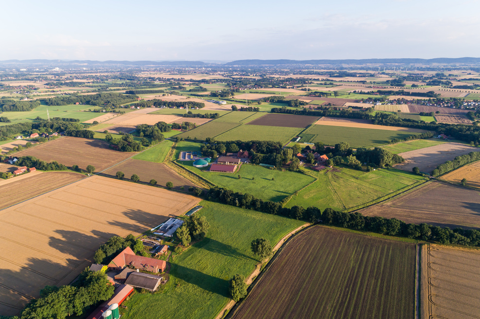 Flurbereinigung, Kulturlandschaft, Biogas, Felder